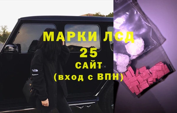 прущие грибы Абинск
