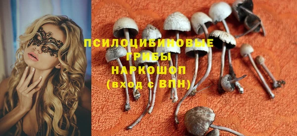 амф Абаза