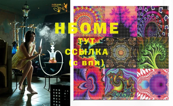 прущие грибы Абинск