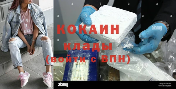 прущие грибы Абинск