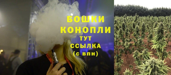 прущие грибы Абинск