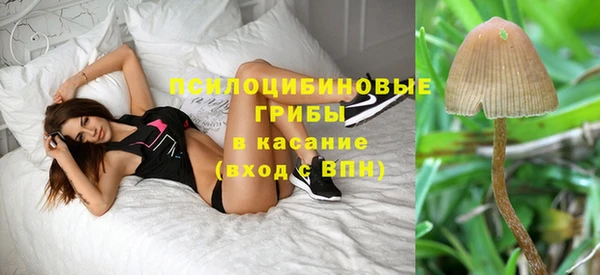 амф Абаза