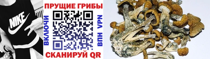 Псилоцибиновые грибы Magic Shrooms  Шали 