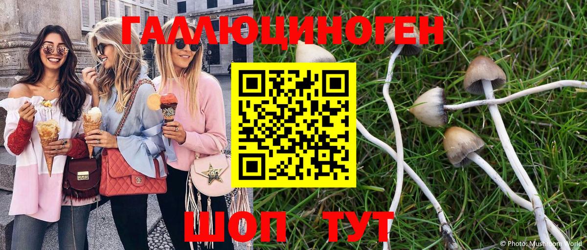 Псилоцибиновые грибы мицелий Шали